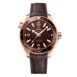 Omega Seamaster Planet Ocean 600M