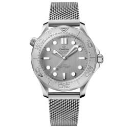 Omega Seamaster Diver 300M