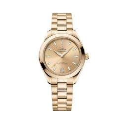 Omega Seamaster Aqua Terra 150 M