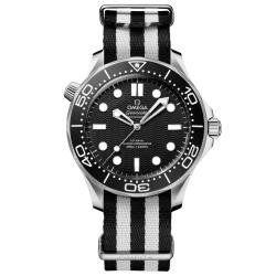 Omega Seamaster Diver 300M
