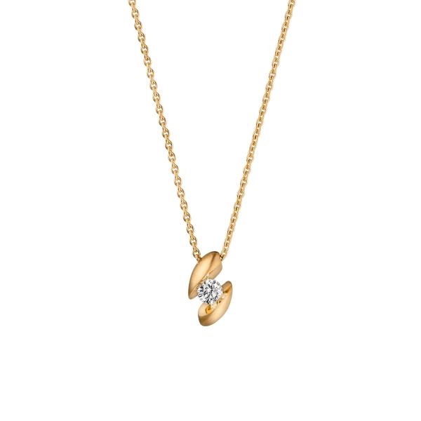 schaffrath-114-calla-10-gw