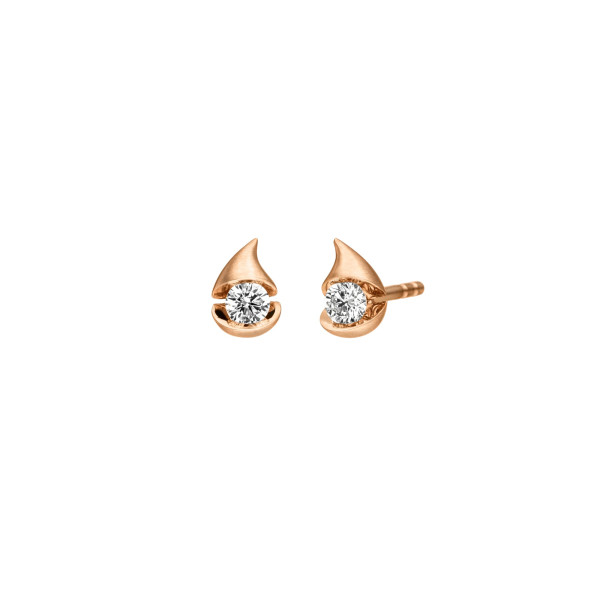 schaffrath-757-cald7-20-rw