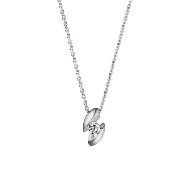 schaffrath-214-calla-18-ww