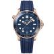 Seamaster Diver 300 M Co-Axial Master Chronometer-1