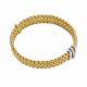 Panorama Flex'it Armband-1