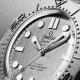 Seamaster Diver 300M-4