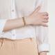 Panorama Flex'it Armband-2