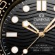 Seamaster Diver 300M-3