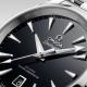 Seamaster Aqua Terra 150 M-4