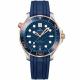 Seamaster Diver 300M-1