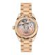 Seamaster Aqua Terra Shades-2