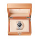 Seamaster Planet Ocean 600M-2