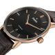 DiaMaster Thinline Automatic-4