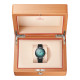 Seamaster Aqua Terra 150M-5