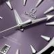 Seamaster Aqua Terra Shades-4